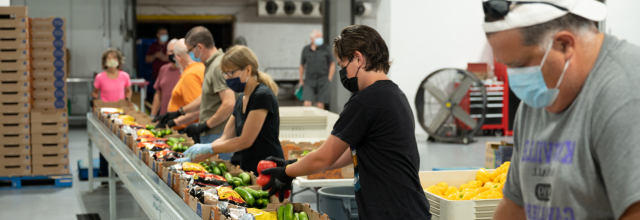 Volunteers prepare boxes of vegetables and fruits to distribute to people experiencing Hunger in Canada. (图片来源:加拿大食品银行)